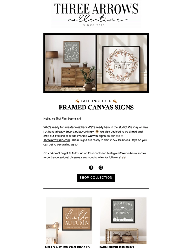 Email Campaign for Three Arrows Collective featuring canvas signs